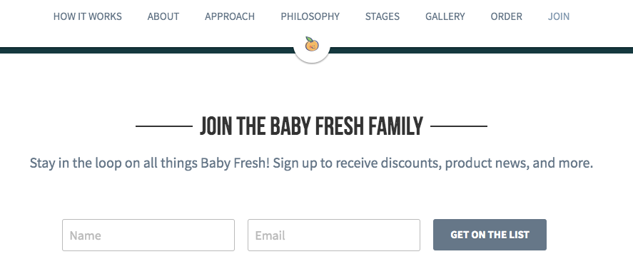newsletter subscription form on a website promoting organic baby food newsletter subscription form on a website promoting organic baby food